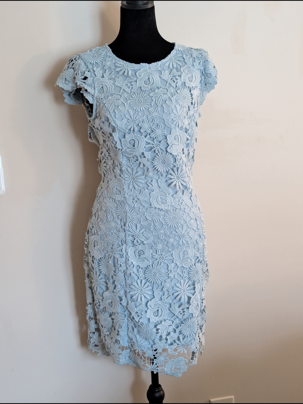 Lulus Light Blue Floral Lace Cap Sleeve Mini Dress - Size Medium